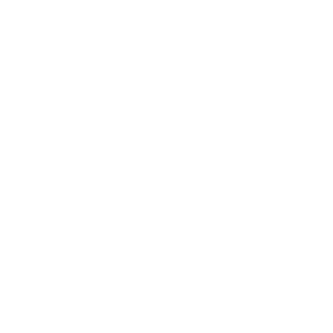 Zoo Digital